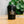 Coal Fressko cup with 'Ocean Grind' logo on a blurred natural background
