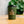 Kahki coffee cup with 'Ocean Grind' logo on a blurred natural background
