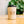 Oat Fressko cup with 'Ocean Grind' logo on a blurred natural background