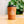 Tuscan Fressko cup with 'Ocean Grind' logo on a blurred natural background